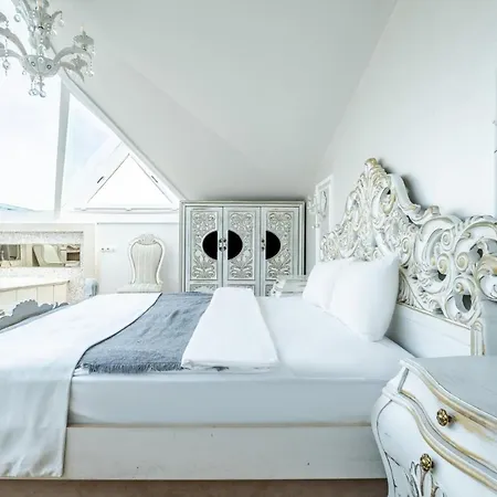 Exquisite In Historic Mansion In Beylerbeyi Apartment